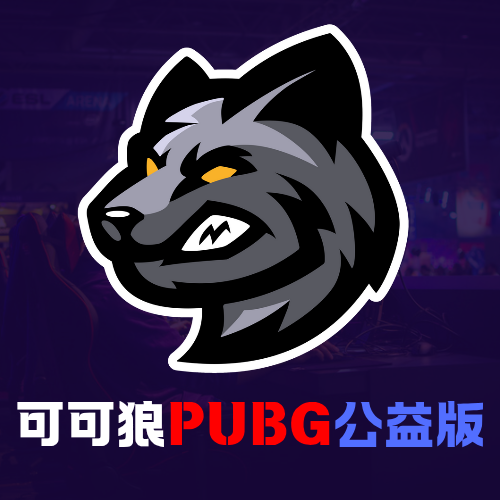 PUBG公益版